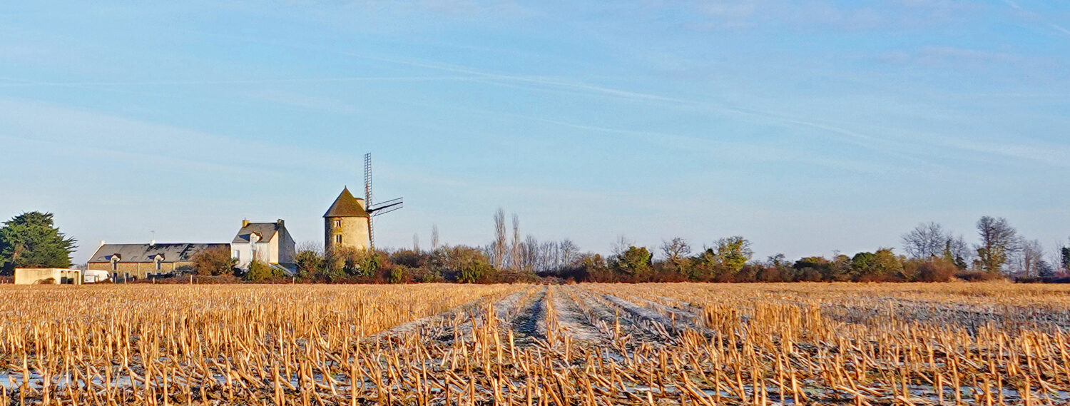 Association pour la Restauration du Patrimoine Damganais